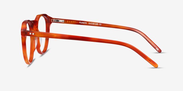 Planete Brown Tortoise AcetateEyeglass Frames from EyeBuyDirect, Side View