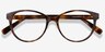 Laya Tortoise AcetateEyeglass Frames from EyeBuyDirect, Closed View