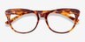 Mariposa Tortoise AcetateEyeglass Frames from EyeBuyDirect, Closed View