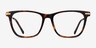 Sebastian Tortoise Acetate-metalEyeglass Frames from EyeBuyDirect, Front View