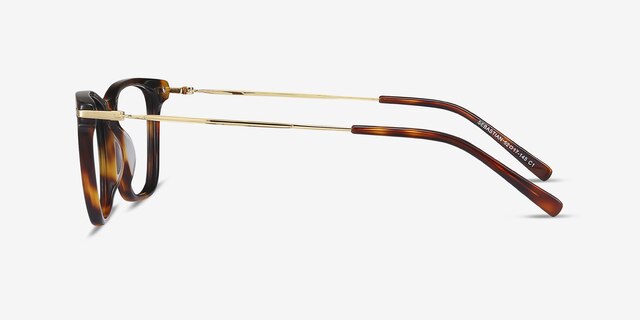 Sebastian Tortoise Acetate-metalEyeglass Frames from EyeBuyDirect, Side View