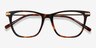 Sebastian Tortoise Acetate-metalEyeglass Frames from EyeBuyDirect, Closed View