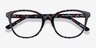 Pixels Black Floral AcetateEyeglass Frames from EyeBuyDirect, Closed View