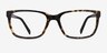 Demo Tortoise AcetateEyeglass Frames from EyeBuyDirect, Front View