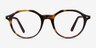 Moby Tortoise AcetateEyeglass Frames from EyeBuyDirect, Front View