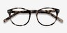 Primrose Ivory Tortoise AcetateEyeglass Frames from EyeBuyDirect, Closed View