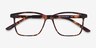 Alaska Écailles PlastiqueMontures de lunettes de vue d'EyeBuyDirect, Vue Rapprochée