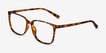 Stride Tortoise PlasticEyeglass Frames from EyeBuyDirect, Angle View