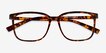 Stride Tortoise PlasticEyeglass Frames from EyeBuyDirect, Closed View