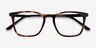 Phoenix Écailles AcétateMontures de lunettes de vue d'EyeBuyDirect, Vue Rapprochée