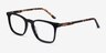 Phoenix Black Tortoise AcetateEyeglass Frames from EyeBuyDirect, Angle View