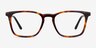 Phoenix Tortoise AcetateEyeglass Frames from EyeBuyDirect, Front View