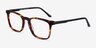 Phoenix Tortoise AcetateEyeglass Frames from EyeBuyDirect, Angle View