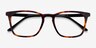 Phoenix Tortoise AcetateEyeglass Frames from EyeBuyDirect, Closed View