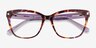 Petal Purple Tortoise AcétateMontures de lunettes de vue d'EyeBuyDirect, Vue Rapprochée