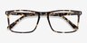 Arise Écailles AcétateMontures de lunettes de vue d'EyeBuyDirect, Vue Rapprochée