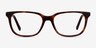 Peruse Brown Tortoise AcétateMontures de lunettes de vue d'EyeBuyDirect, Vue de Face