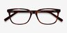 Peruse Brown Tortoise AcétateMontures de lunettes de vue d'EyeBuyDirect, Vue Rapprochée