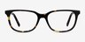 Peruse Tortoise AcetateEyeglass Frames from EyeBuyDirect, Front View