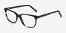 Peruse Tortoise AcetateEyeglass Frames from EyeBuyDirect, Angle View