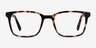 Charlie Tortoise AcetateEyeglass Frames from EyeBuyDirect, Front View