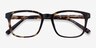 Longway Tortoise AcetateEyeglass Frames from EyeBuyDirect, Closed View