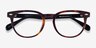 Maeby Dark Tortoise AcetateEyeglass Frames from EyeBuyDirect, Closed View
