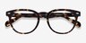 Maeby Tortoise AcetateEyeglass Frames from EyeBuyDirect, Closed View