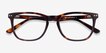 Gato Tortoise AcetateEyeglass Frames from EyeBuyDirect, Closed View