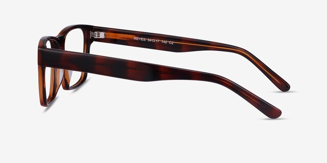 Reyes Brown AcetateEyeglass Frames from EyeBuyDirect, Side View
