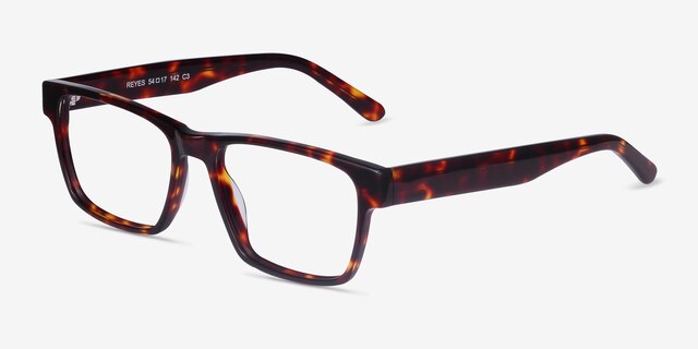 Reyes Tortoise AcetateEyeglass Frames from EyeBuyDirect, Angle View