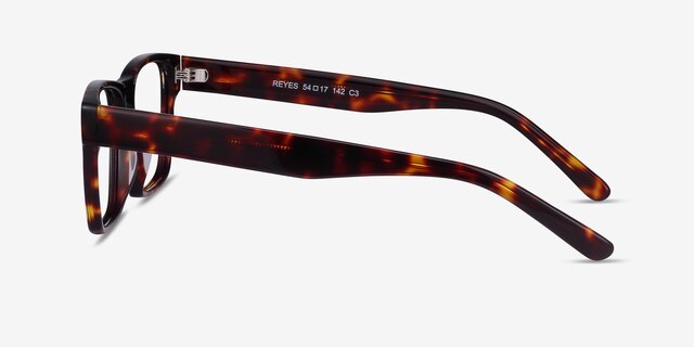 Reyes Tortoise AcetateEyeglass Frames from EyeBuyDirect, Side View