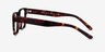 Reyes Tortoise AcetateEyeglass Frames from EyeBuyDirect, Side View