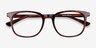 Seasons Brown Tortoise AcetateEyeglass Frames from EyeBuyDirect, Closed View