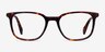 Howie Tortoise AcetateEyeglass Frames from EyeBuyDirect, Front View