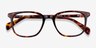 Howie Tortoise AcetateEyeglass Frames from EyeBuyDirect, Closed View