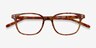 Rena Light Tortoise AcetateEyeglass Frames from EyeBuyDirect, Closed View