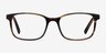 Collective Tortoise AcetateEyeglass Frames from EyeBuyDirect, Front View