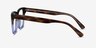 Feeling Brown Blue AcetateEyeglass Frames from EyeBuyDirect, Side View