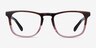 Found Brown Purple AcetateEyeglass Frames from EyeBuyDirect, Front View