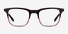 Ville Brown Purple AcetateEyeglass Frames from EyeBuyDirect, Front View
