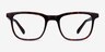 Ville Tortoise AcetateEyeglass Frames from EyeBuyDirect, Front View
