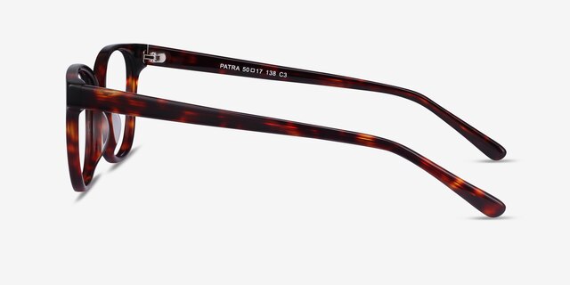 Patra Tortoise AcetateEyeglass Frames from EyeBuyDirect, Side View