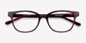Patra Tortoise AcetateEyeglass Frames from EyeBuyDirect, Closed View