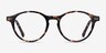 Magic Tortoise AcetateEyeglass Frames from EyeBuyDirect, Front View