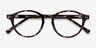 Magic Tortoise AcetateEyeglass Frames from EyeBuyDirect, Closed View