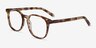 Ander Tortoise AcetateEyeglass Frames from EyeBuyDirect, Angle View