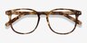 Ander Tortoise AcetateEyeglass Frames from EyeBuyDirect, Closed View