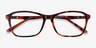 Versa Tortoise AcetateEyeglass Frames from EyeBuyDirect, Closed View