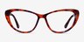 Yvonne Brown Floral AcetateEyeglass Frames from EyeBuyDirect, Front View